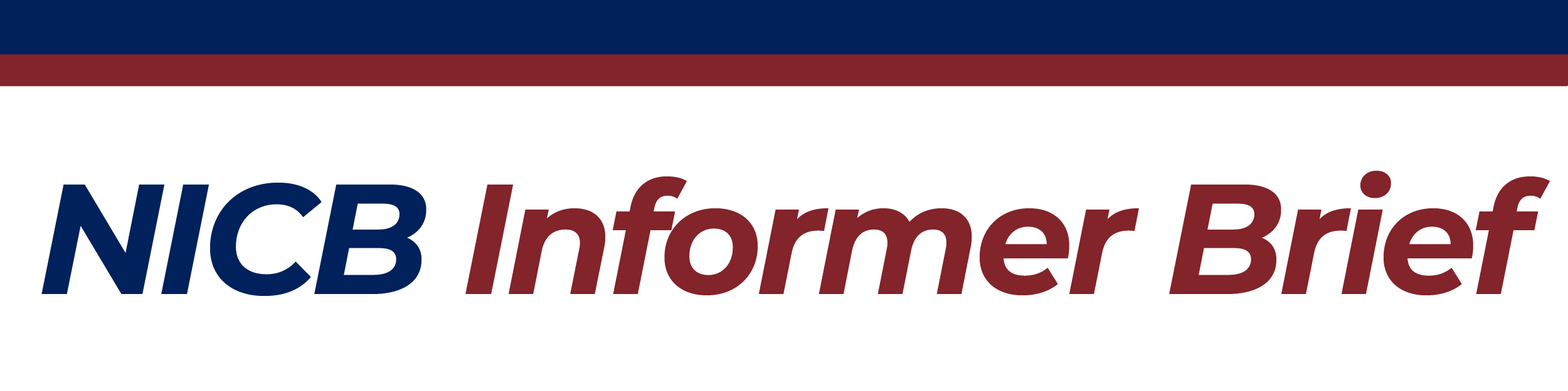 NICB Informer Brief