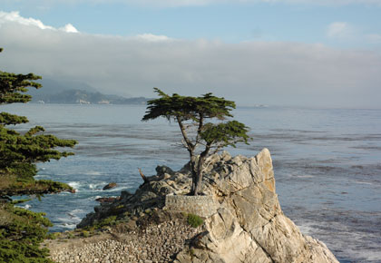 Monterey CA