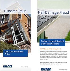 Disaster page brochure covers