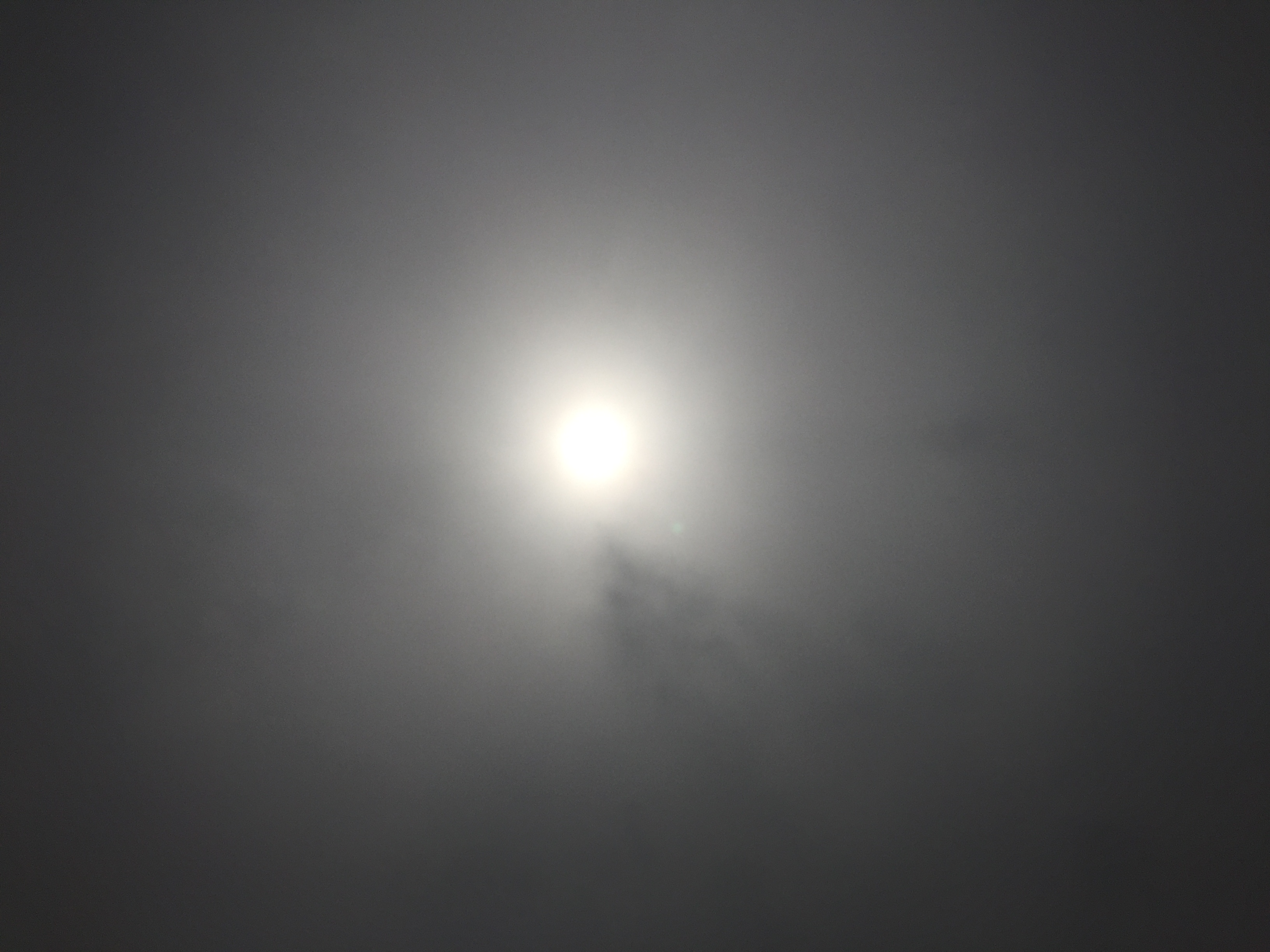 Solar eclipse in Frankfort, IL