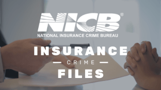 Insurance Crime Files