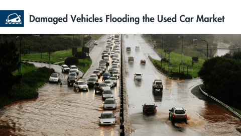 Damaged Vehicles Flooding the Used Car Market